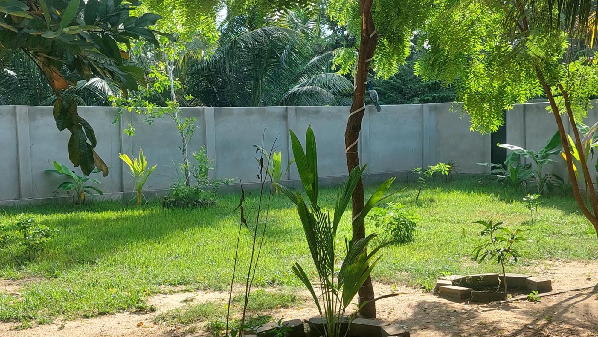 The Dream Inn Guesthouse Passikudah Batticaloa Dış mekan fotoğraf