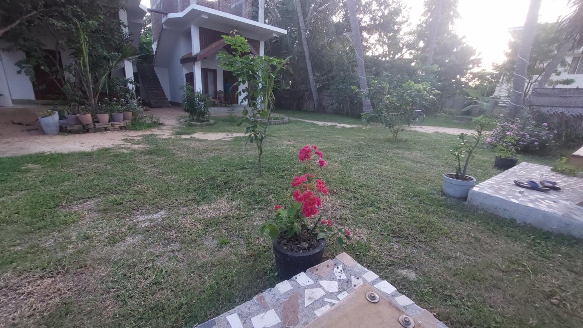 The Dream Inn Guesthouse Passikudah Batticaloa Dış mekan fotoğraf