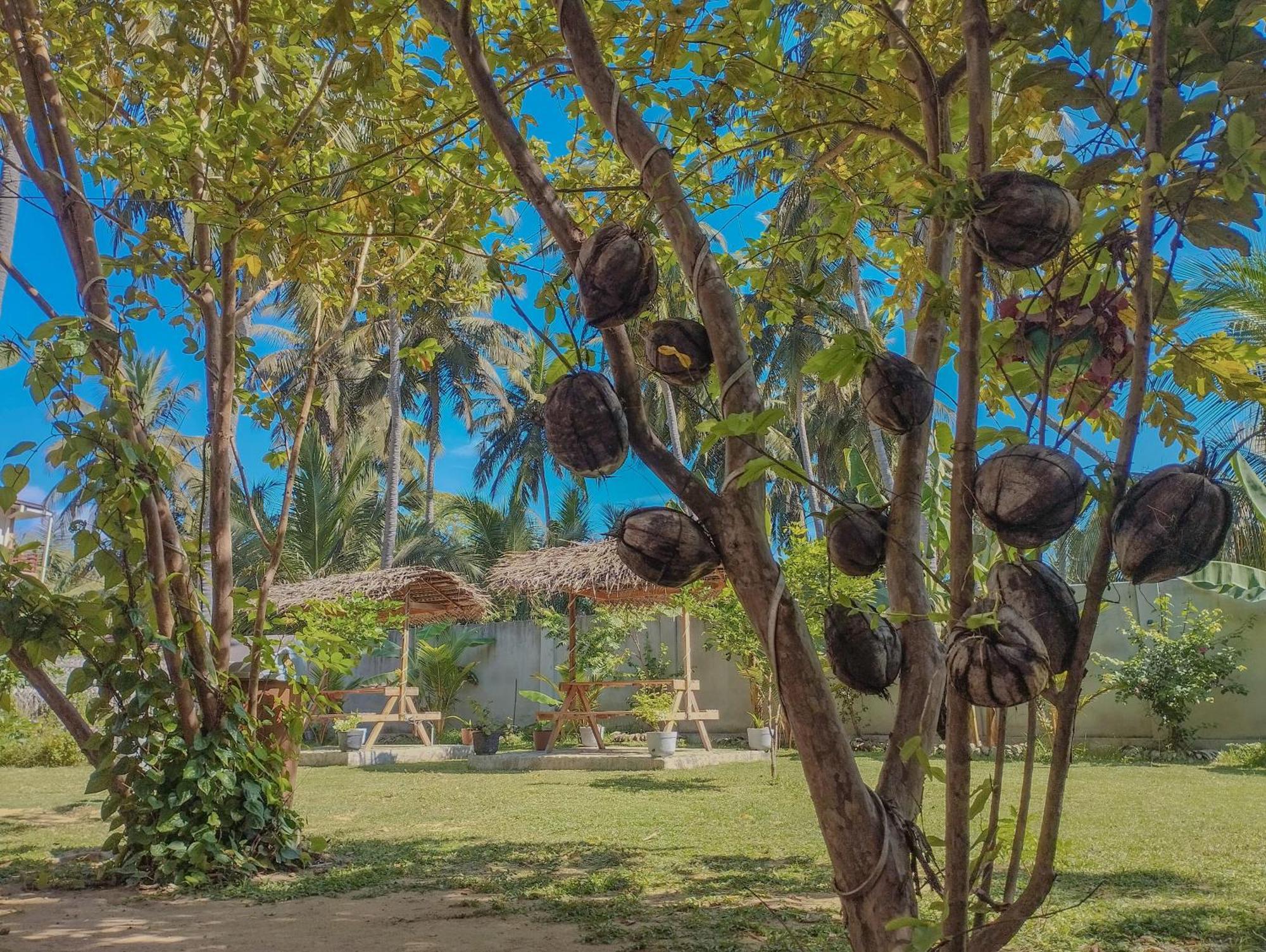 The Dream Inn Guesthouse Passikudah Batticaloa Dış mekan fotoğraf